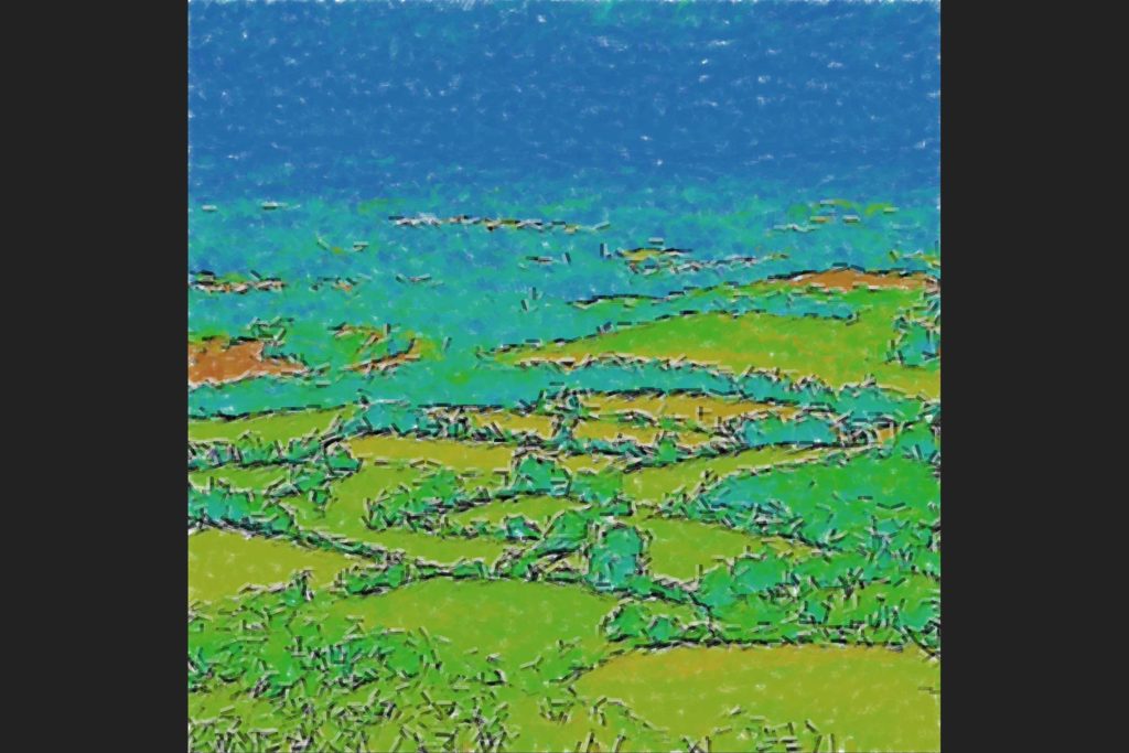 Algorithm-painting_fields