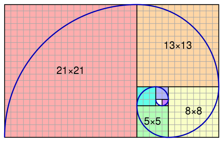 Fibonacci circles – Wee aye-aye